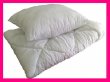 Antialergická přikrývka 160/200 + polštář 80/70 cm celoroční