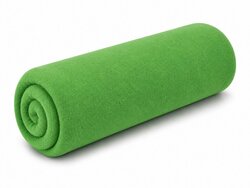 Frote prostěradlo s gumkou ECONOMY 160/200 cm - zelená