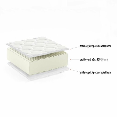 Matrace Deriano MAXI 160/200/20 cm