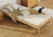Postel Adam 90 x 200 cm olše masiv borovice plus matrace Superflex