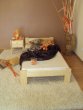 Postel Anetka 80x200 plus matrace Vigo kokos
