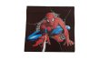 Dětský povlak na polštář 40x40 cm - Spiderman / tmavě hnědá