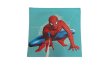 Dětský povlak na polštář 40x40 cm - Spiderman / modrá
