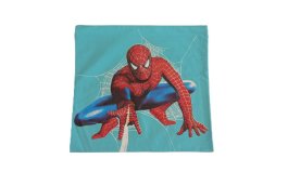Zvětšit Dětský povlak na polštář 40x40 cm - Spiderman